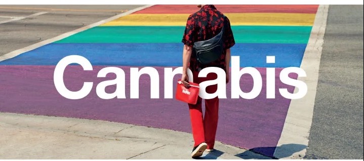MedMen Cannabis campaign on a rainbow crosswalk