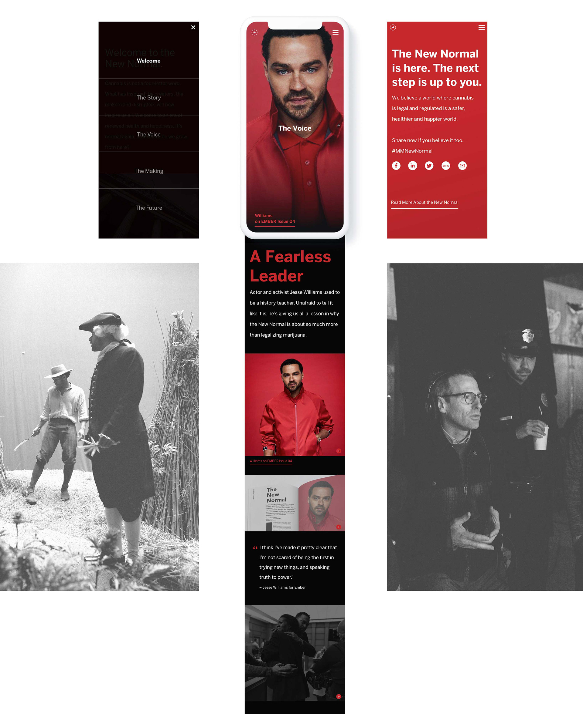 The New Normal Fearless Leader digital story